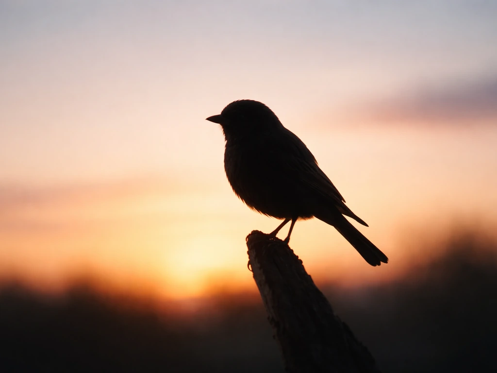 A silhouetted perched bird against a blurred sunrise sky, symbolizing freedom and perspective.